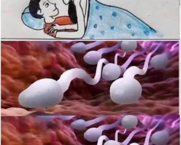 Many know! Studies reveal that swallowing your partner’s semen –​