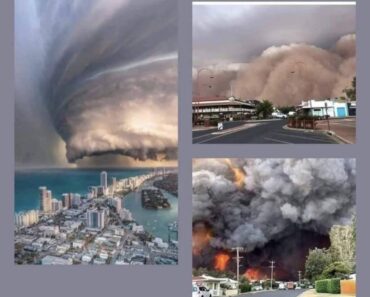 BREAKING NEWS Large HURRICANE CATEGORY forming… –