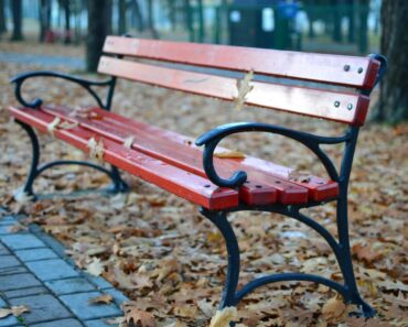 Photo Of 3 Women Sitting On A Bench Goes Viral After People Spot Small Detail