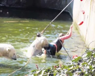 «A 32-year-old woman who jumped into a polar bear enclosure at the Berlin Zoo was attacked by a polar bear.»(Video