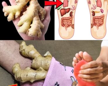 Place a Ginger Root on Your Feet and Stop Spending Money at the Pharmacy! (Did You Know?)