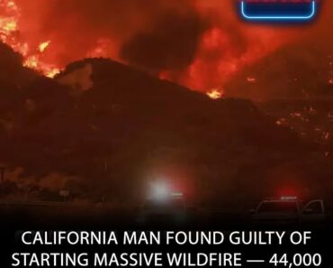 CALIFORNIA MAN FACES LIFE IN PRISON FOR STARTING MASSIVE WILDFIRE