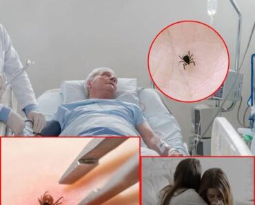 Man Died from Tick