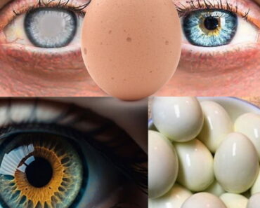 How Eggs Heal the Eyes: The Surprising Benefits for Vision Health