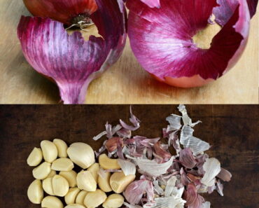 Onion and Garlic Peels: Unexpected Natural Remedies and Their Hidden Benefits