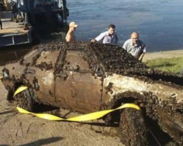 He accidentally found a car at the bottom of the river and called the police. When they arrived, the police were horrified and shocked, look what they found inside when they pulled it out of the water. Check the comments!!!