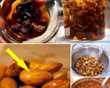 8 Reasons You Should Be Eating Soaked Seeds (Your Body Will Thank You)