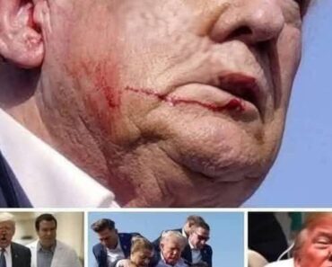 Donald Trump experiences ‘Biden moment’ after viral stumble up Air Force One stairs – Daily News