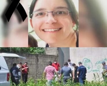 Missing girl found in the woods, her father was the one who… – dailymagazine23