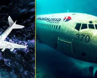 BREAKING NEWS: Lost No More? MH370’s Final Moments Have Been Found – Daily News