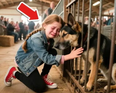 Daughter of Dead Cop Walks Into German Shepherd Auction Alone — The Reason Why Is Shocking!