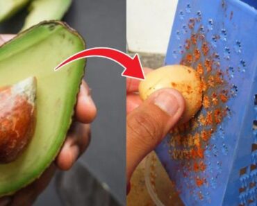 Benefits of Avocado Pits: 7 Reasons to Use Them
