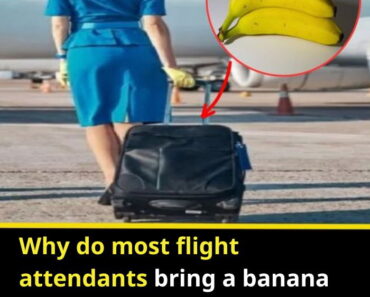 Why Do Most Flight Attendants Bring a Banana on the Plane? Turns Out to Do This