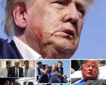 1-TG Donald Trump experiences ‘Biden moment’ after viral stumble up Air Force One stairs See More