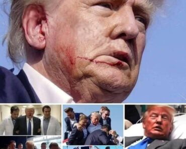 DGeneralonald Trump experiences ‘Biden moment’ after viral stumble up Air Force One stairs – Daily News