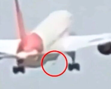 New footage of doomed Air India flight ‘shows cause of c.rash’