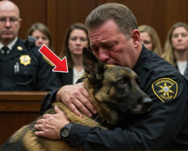 Wrongfully convicted cop begs to see his K9 one last time – What happened next sh0cked everyone
