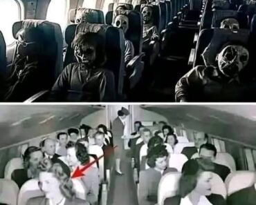 A plane carrying 92 passengers lands 20 years after the opening of the…See More