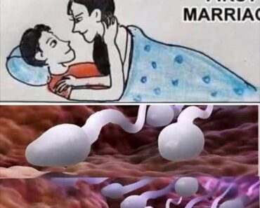 Many know! ❤️❤️ Studies reveal that swallowing your partner’s semen… See more