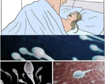 Many know! Studies reveal that swallowing your partner’s semen…See more