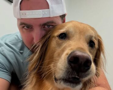 Does Teddy Have Cancer Now?   The past few weeks have been filled with fear, tears, and endless waiting. It all started with a small lump under Teddy’s leg — one that wasn’t there before. It didn’t seem to bother him much, but it was enough to worry everyone who loved him. After all, Teddy isn’t just a dog. He’s family