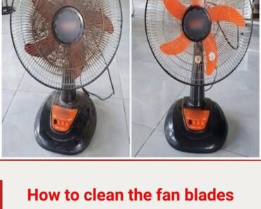 3 Simple Ways to Clean Your Electric Fan Without Taking It Apart — Quick, Safe & Effective