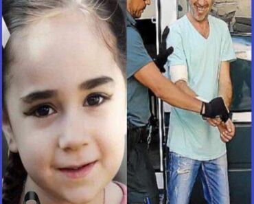 HT10. Missing girl found in the woods, her father was the one who…See more
