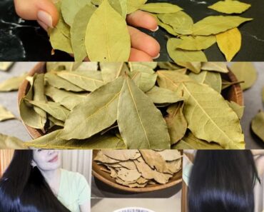 Bay Leaves for Gray Hair? Here’s What No One Told You