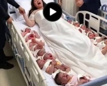 A 23-year-old woman gives birth to 14 children in… See More