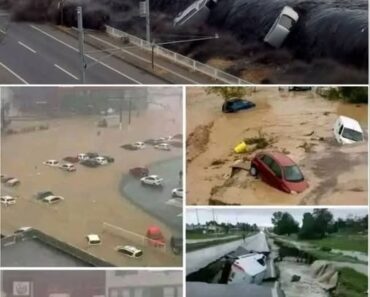 9.1 magnitude earthquake also causes a large Tidal in the city of…See more