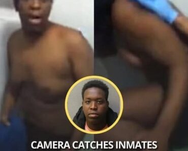 Camera Captures Inmates Responding to Convicted Offender’s Arrival – NEWTODAYS.COM