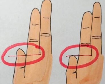 Your Fingers Could Reveal Whether You’re Rich or Poor