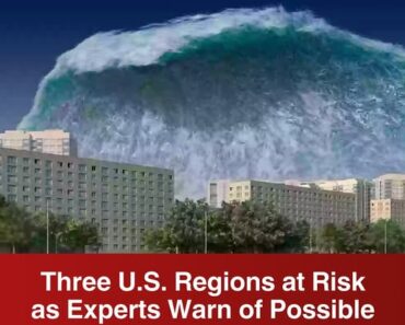 Three U.S. regions at risk of possible ‘mega-tsunami’ –