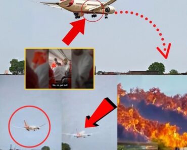 LEAKED VIDEO: 58-Second Cockpit Footage Shows Warning Light Flashing Just Before Both Engines Quit on Air India 171…See more
