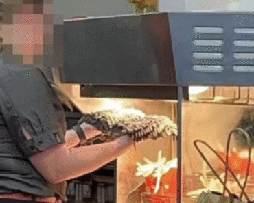 People Are Boycotting McDonald’s After Seeing What Worker Was “Cooking” With The Fries