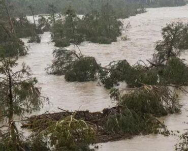Heartbreaking before and after pictures of Texas river show true devastation of flash floods