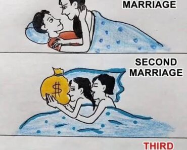 What Does The Image Reflect? – Daily News