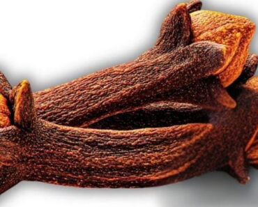 Eat cloves every day, but avoid this common mistake!
