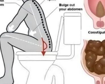 How to Support Colon Health at Night – A Gentle, Natural Approach