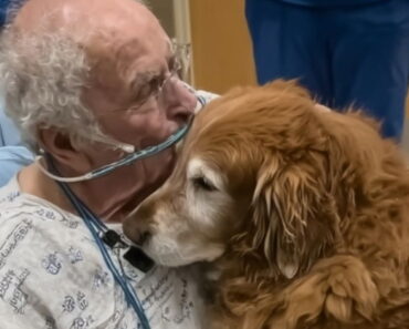 The Patient Kept Plea for ‘Murphy’—A Name That Left Everyone Puzzled