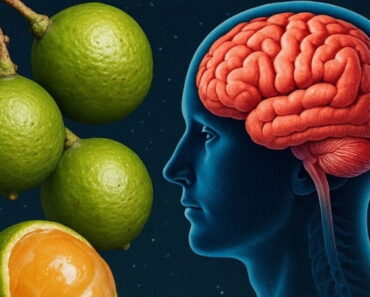 This Fruit Will Fight Insomnia and Boost Brain Function in A Short Time