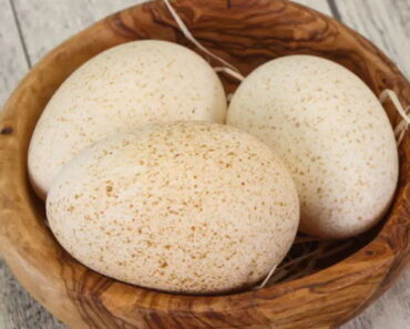 People Are Only Just Realizing Why We Don’t Eat Turkey Eggs