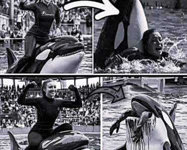 Coach Orca is Destroy by this thing while … see more