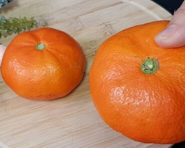 Clean Your Kidneys, Liver & Lungs – Powerful Natural Detox!