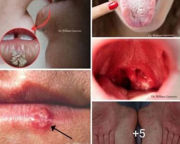 KAREN CRAZY – Breaking News & Entertainment KAREN CRAZY – Breaking News & Entertainment