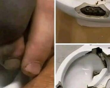 He went to the bathroom without knowing that there was a…See more – Daily News