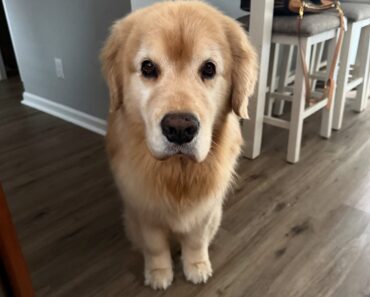 “Mav is just serving looks today. And not nice ones!! Mad bc I said he can’t have more watermelon ” “Mav is just serving looks today. And not nice ones!! Mad bc I said he can’t have more watermelon ”