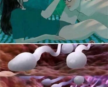 Many know! Studies reveal that swallowing your partner’s semen… See more