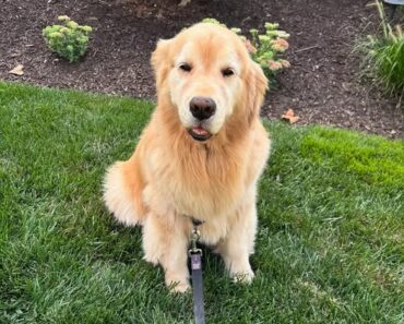 “When mom says ‘smile for the camera,’ and this is the best I’ve got! “ “When mom says ‘smile for the camera,’ and this is the best I’ve got! “
