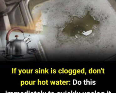 Try this simple trick now to instantly clear clogs and eliminate bad odors! Try this simple trick now to instantly clear clogs and eliminate bad odors!